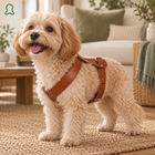 ThistlePets Step-In Leather Harness
