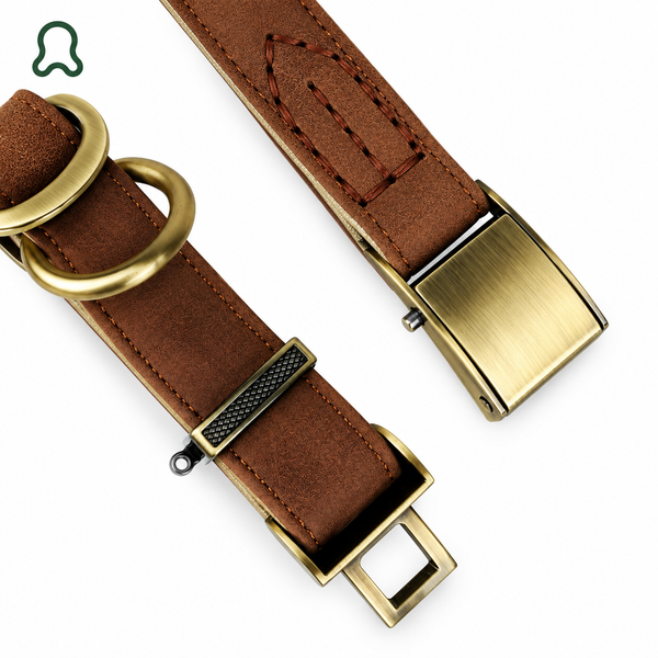 Easy to actually use — ThistlePets Quick-Release Leather Collar