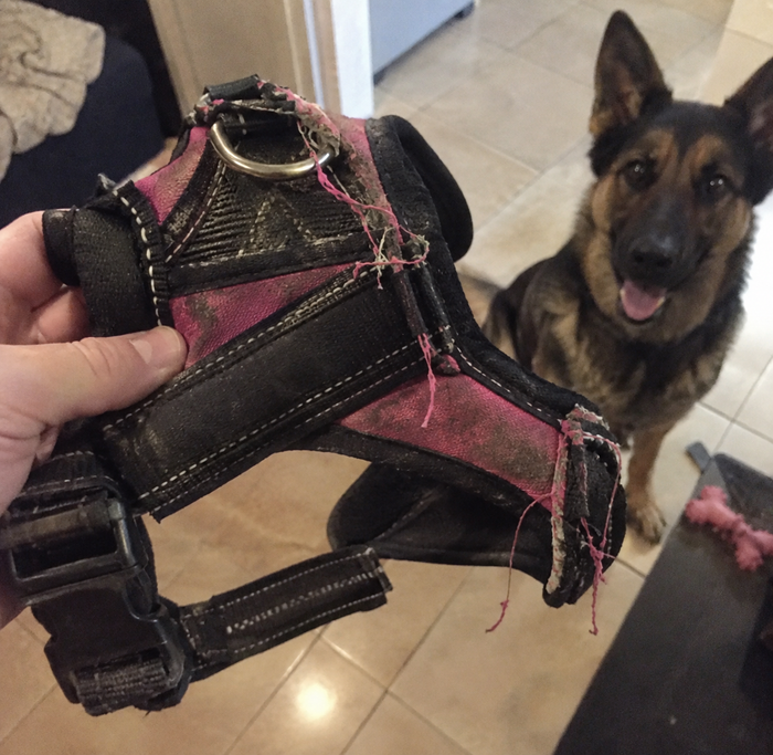 We got tired of gear that looks fine and falls apart