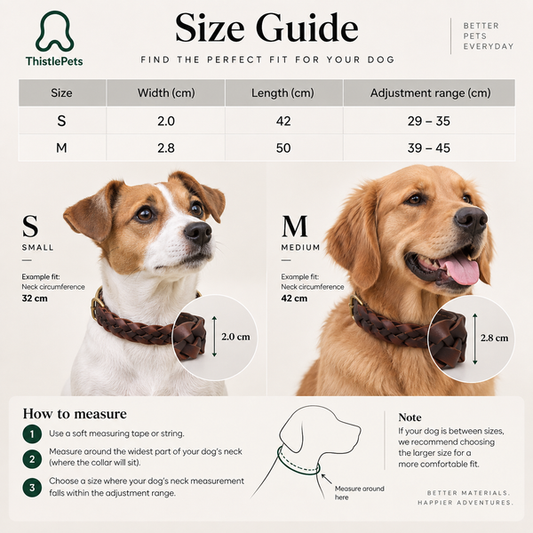 Comfortable, correct fit — ThistlePets Braided Leather Collar