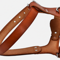 ThistlePets Step-In Leather Harness