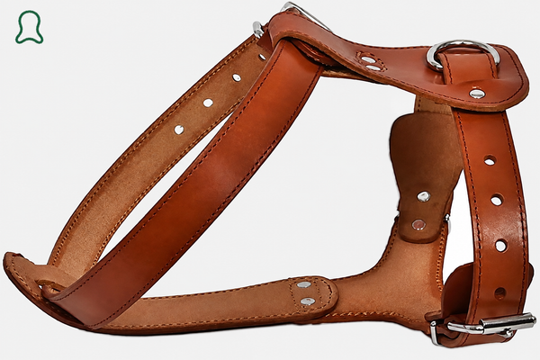 Easy to actually use — ThistlePets Step-In Leather Harness
