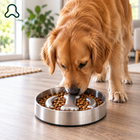ThistlePets Stainless Steel Slow Feeder