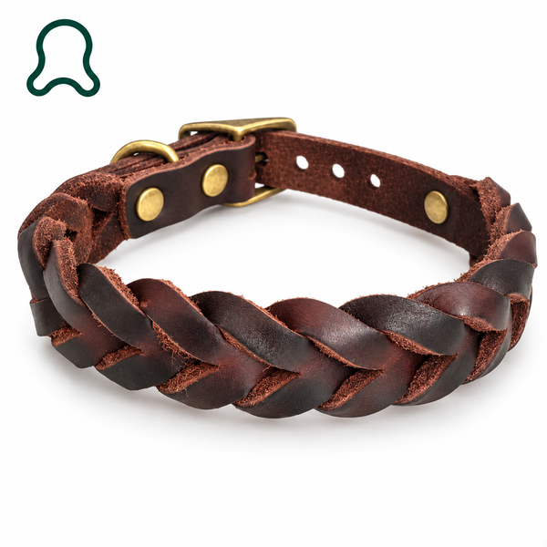 Real-world tested materials — ThistlePets Braided Leather Collar