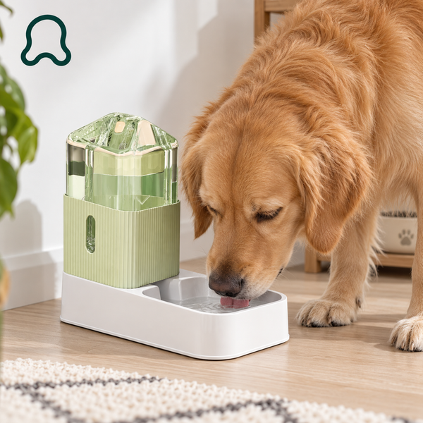 Easy to actually use — ThistlePets Automatic Feeder & Bowl Set