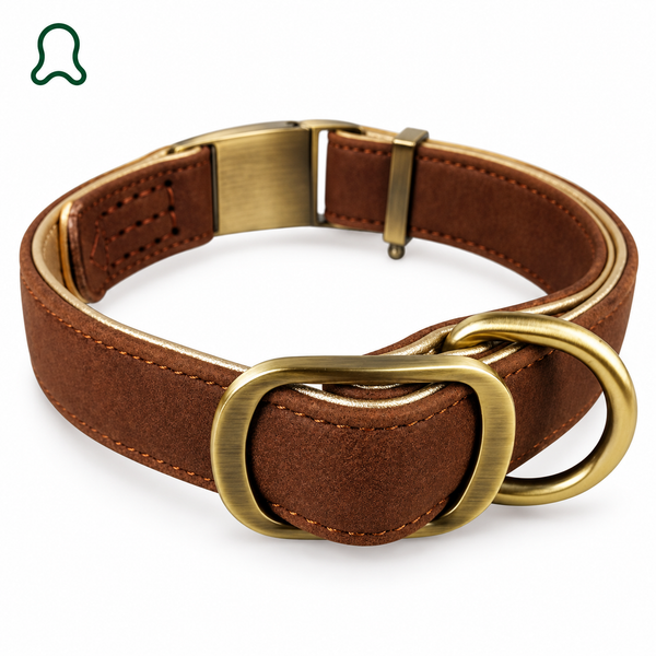 Comfortable, correct fit — ThistlePets Quick-Release Leather Collar