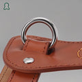 ThistlePets Step-In Leather Harness