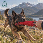 ThistlePets Bite & Grip Trainer